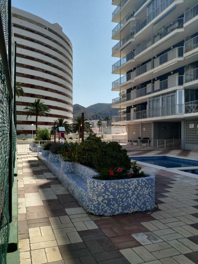 Descans كولرا المظهر الخارجي الصورة